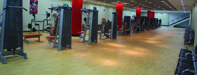 �������\�ӵ��z