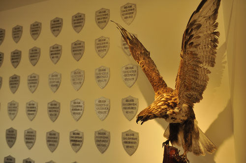 ����ͬ�Ęs�u(y��)����