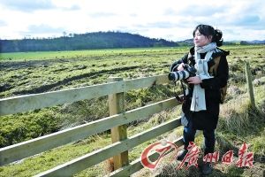 ����(b��o)ӛ�߱����K���m�ߵ�������ľ�|(zh��)��ڵ�ԭ����