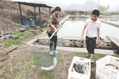 ��Ӵ��ǲ�ɫ���ӵ�ʢ��